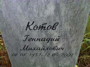 Кот геннадий петрович